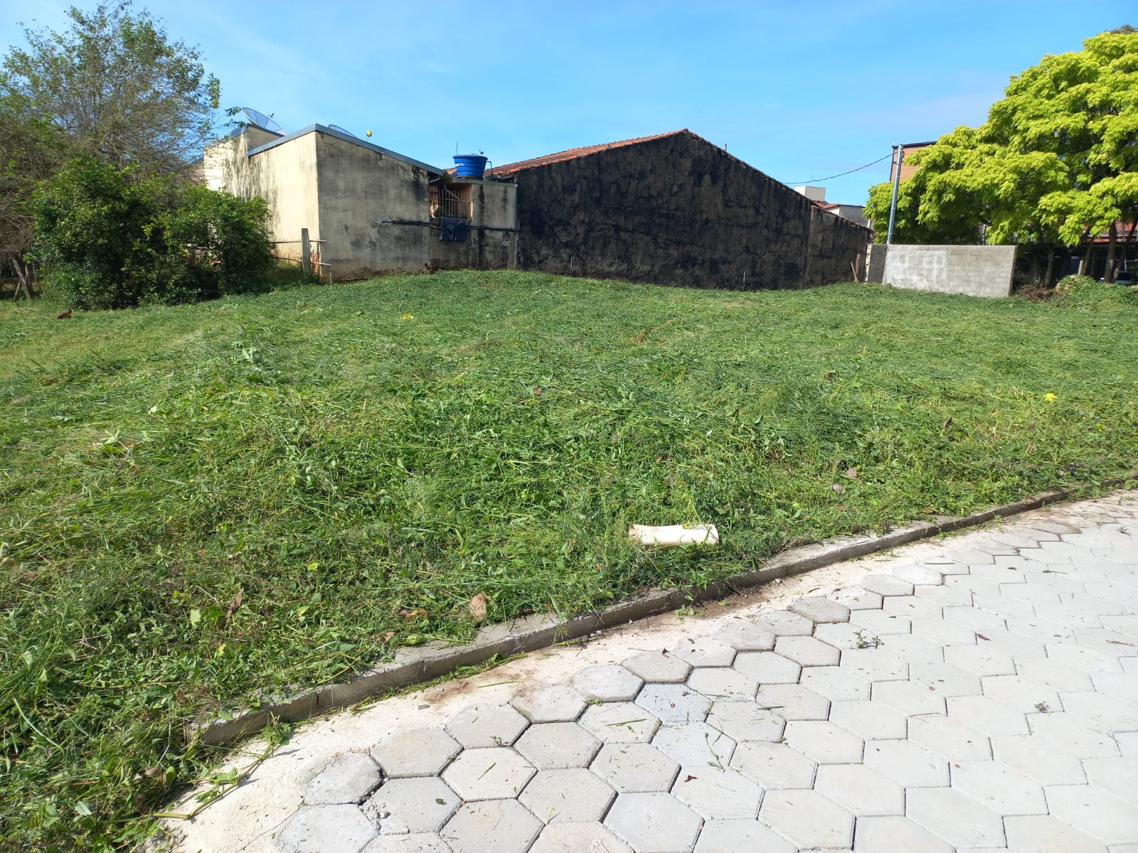 Terreno - Monte Sião - Magioli - 130 (1)