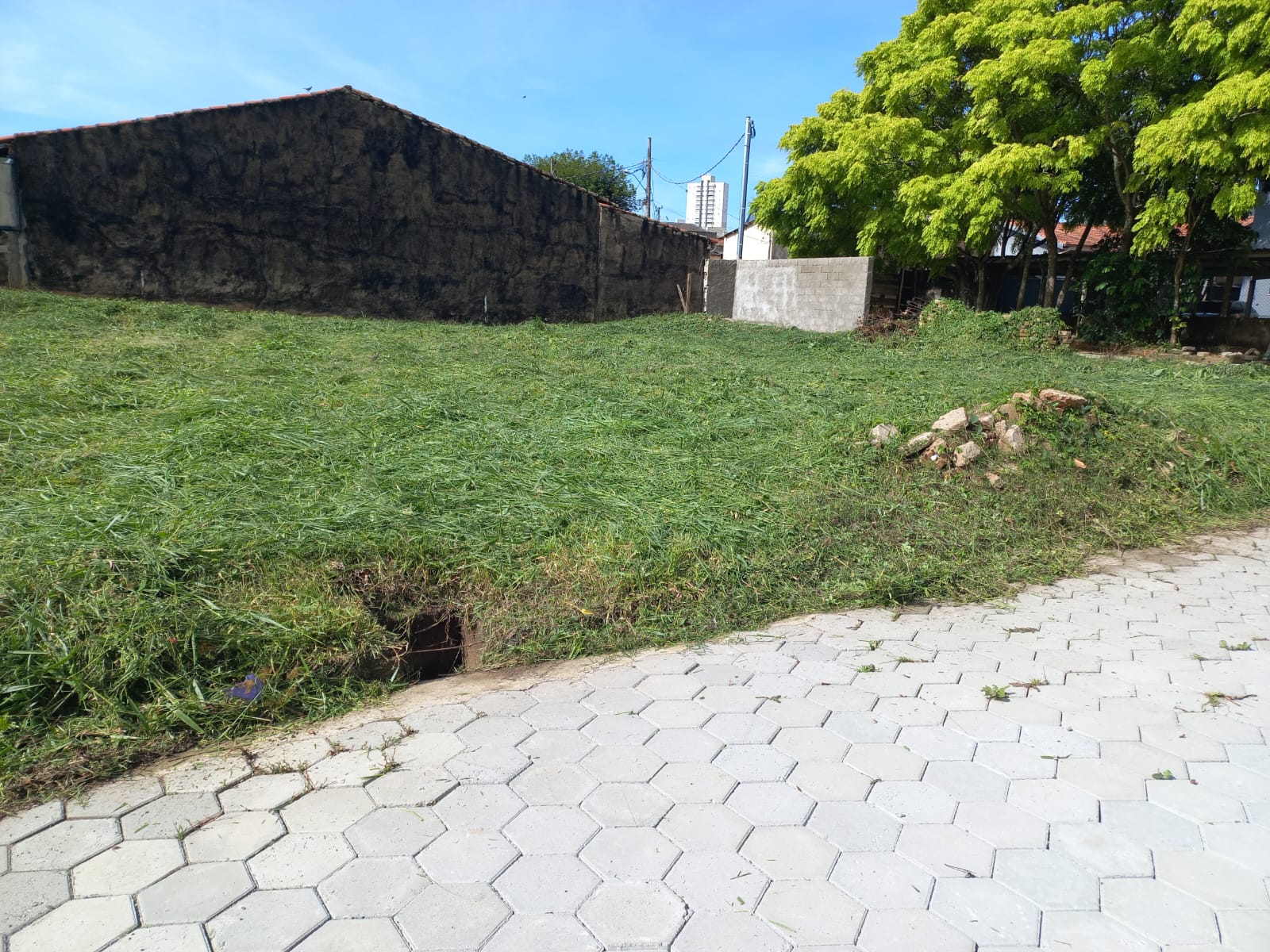 Terreno - Monte Sião - Magioli - 130 (2)