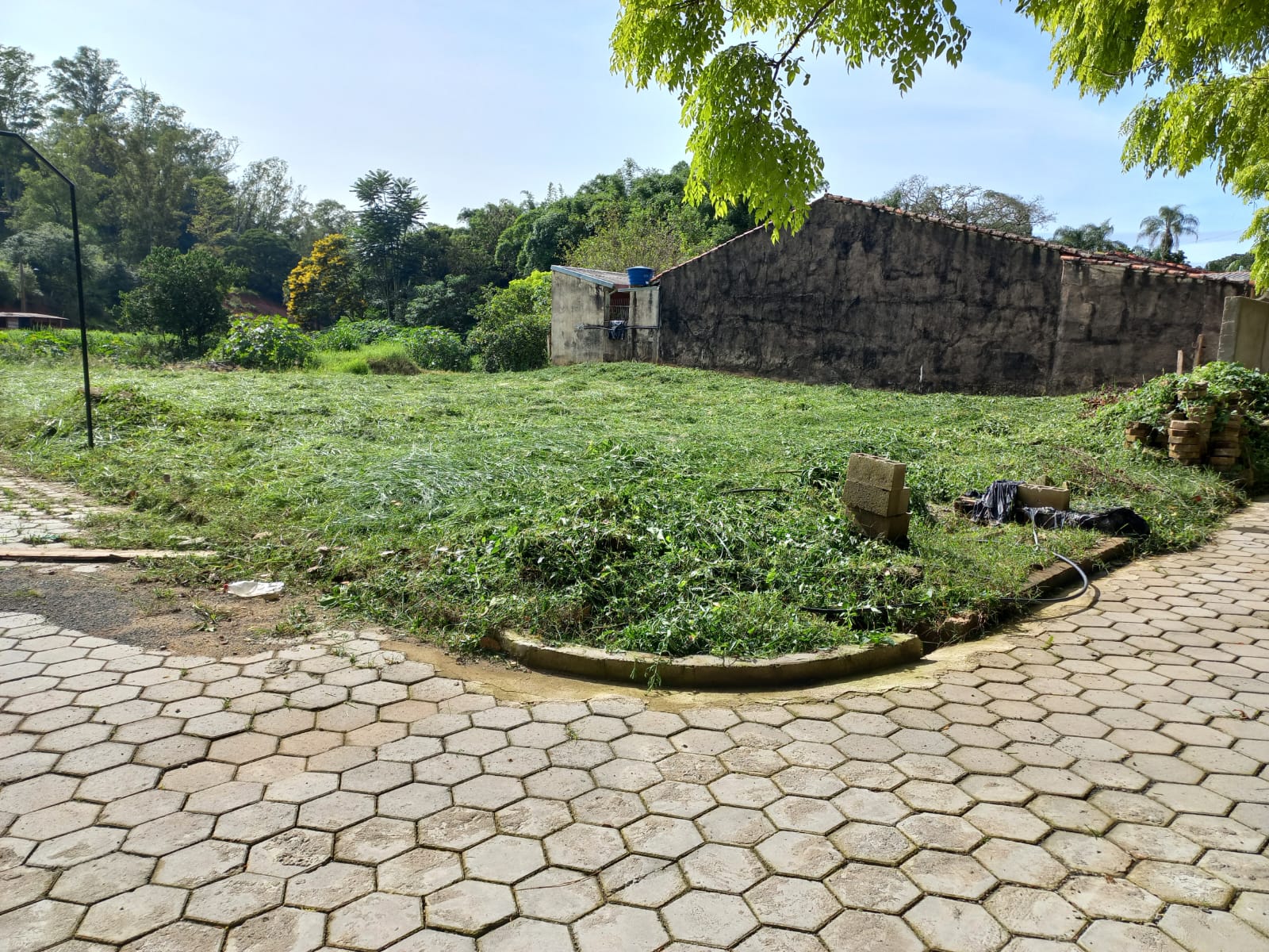 Terreno - Monte Sião - Magioli - 130 (3)