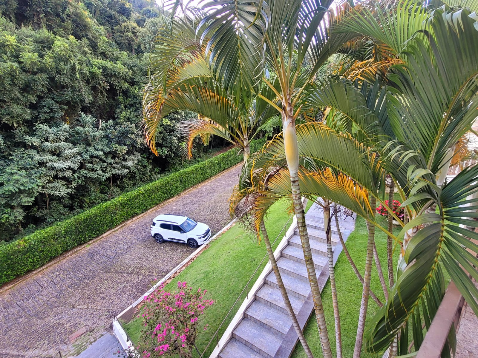 0034 (10)